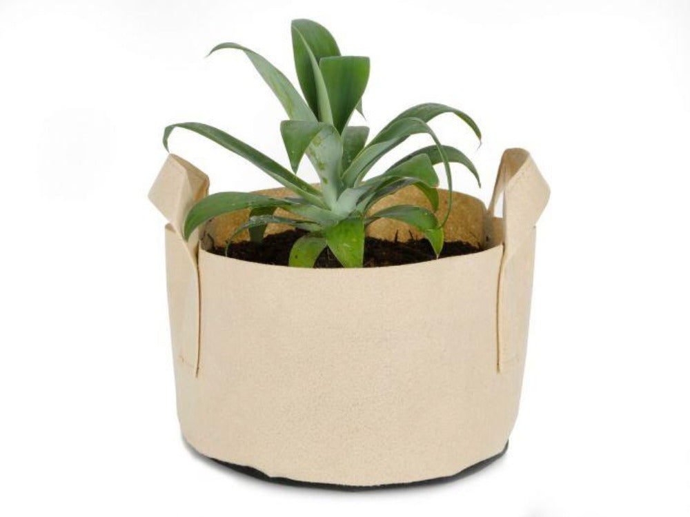 Gardening Plant Pots Tan