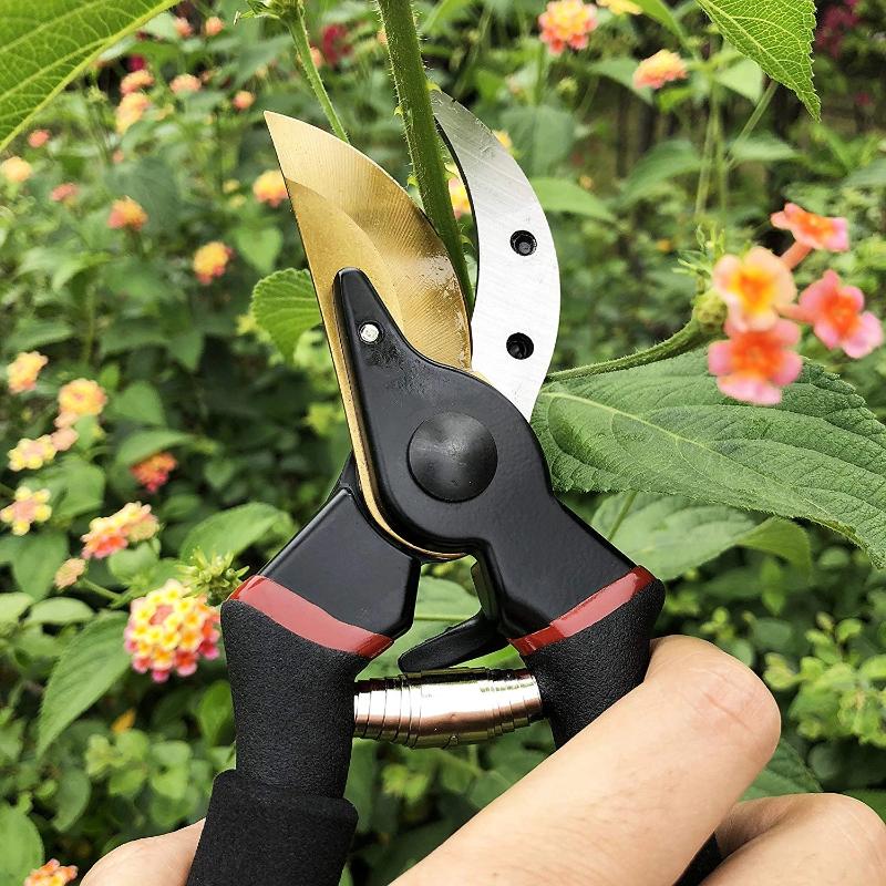 Premium Titanium Pruning Shears