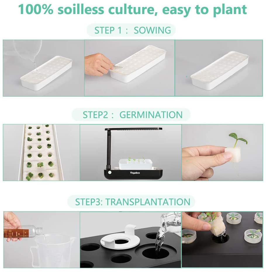 Hydroponics Plant Growing System