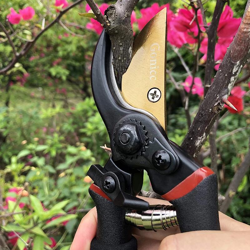 Premium Titanium Pruning Shears