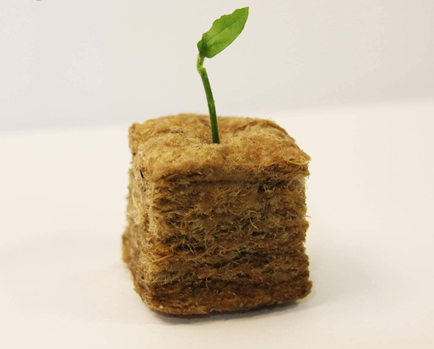 Hydroponics Rockwool Plant Starter Cubes