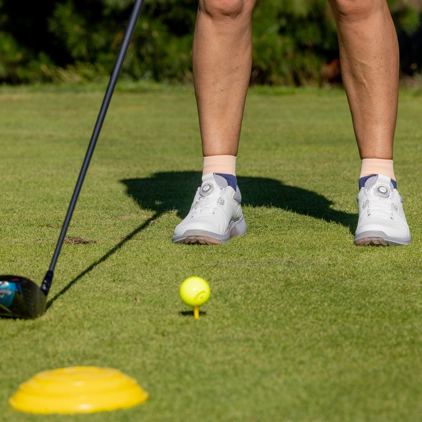 Golf Socks