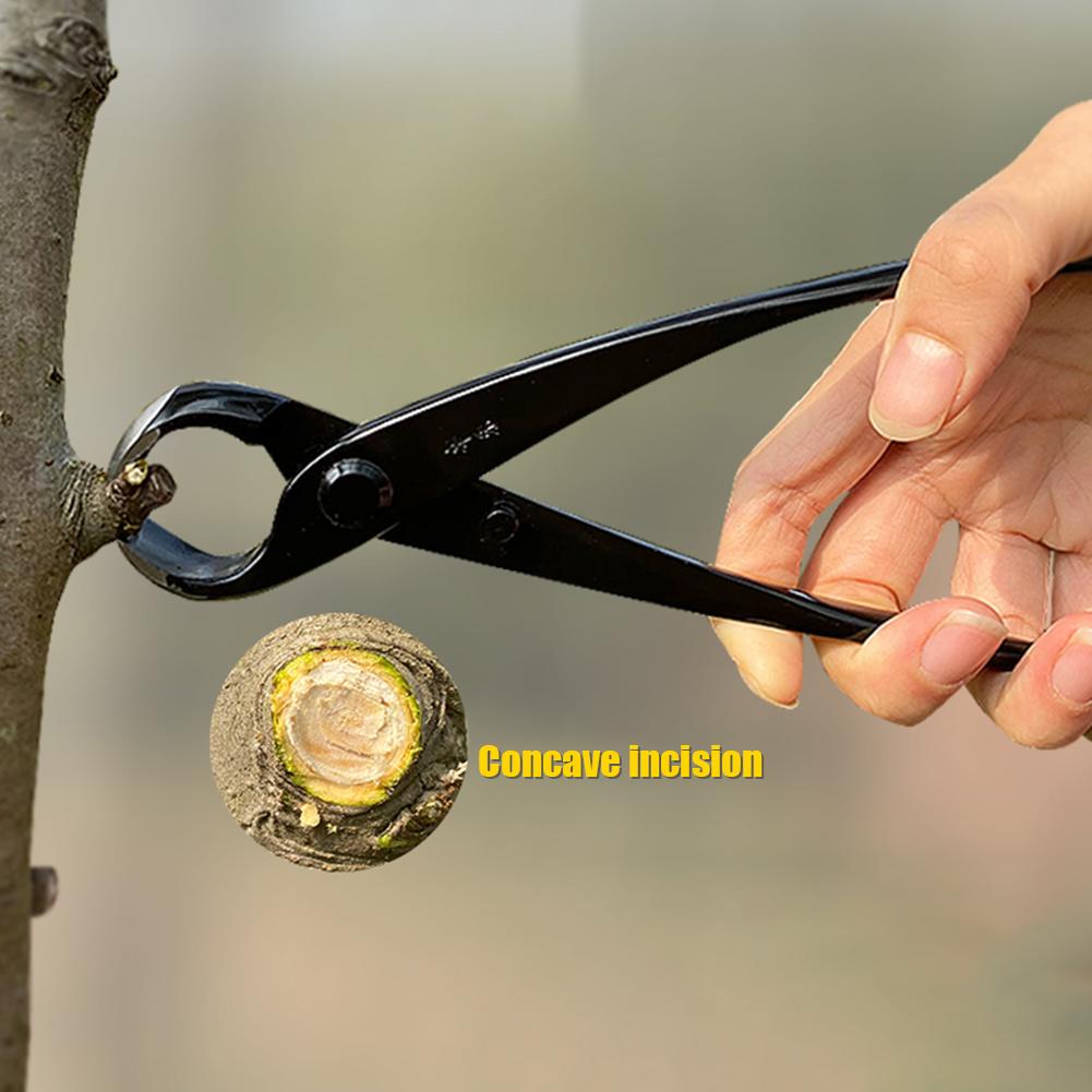 Round Edge Bonsai Tree Pruning Nippers Professional Plant Pruning Shears Garden Alloy Tree Knob Pruning Tool