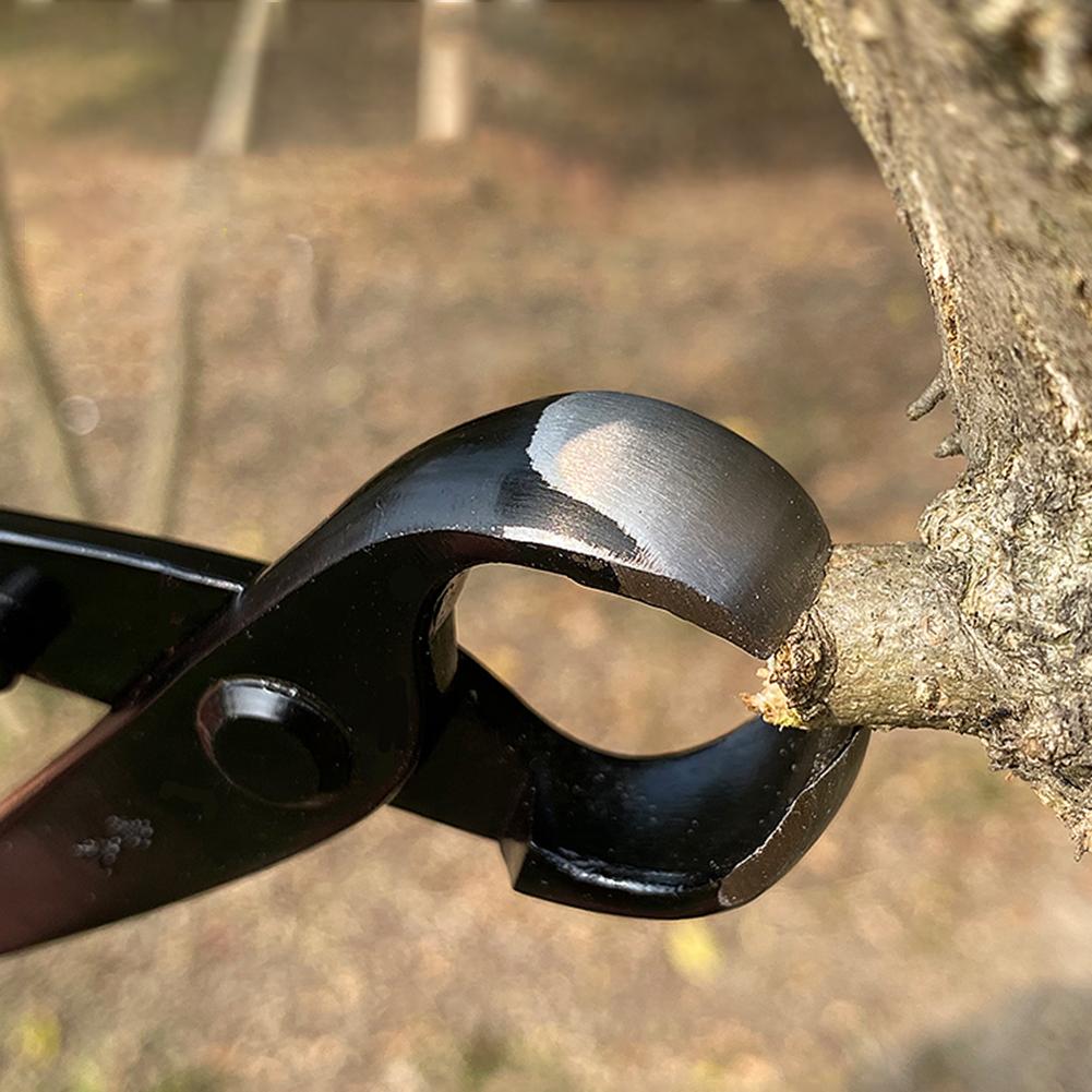 Round Edge Bonsai Tree Pruning Nippers Professional Plant Pruning Shears Garden Alloy Tree Knob Pruning Tool