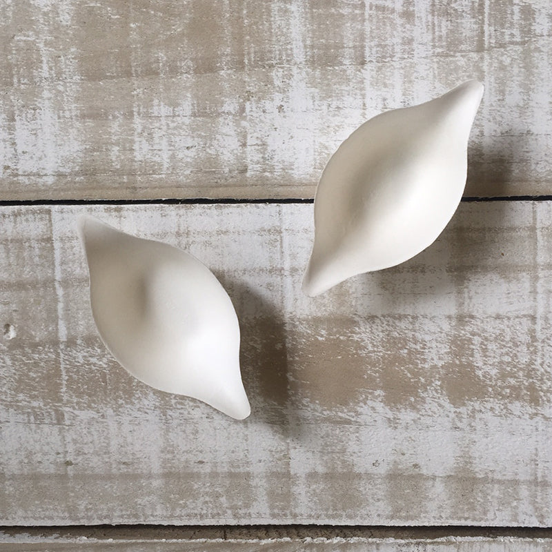 Disposable Canape Dishes - in 5 shapes