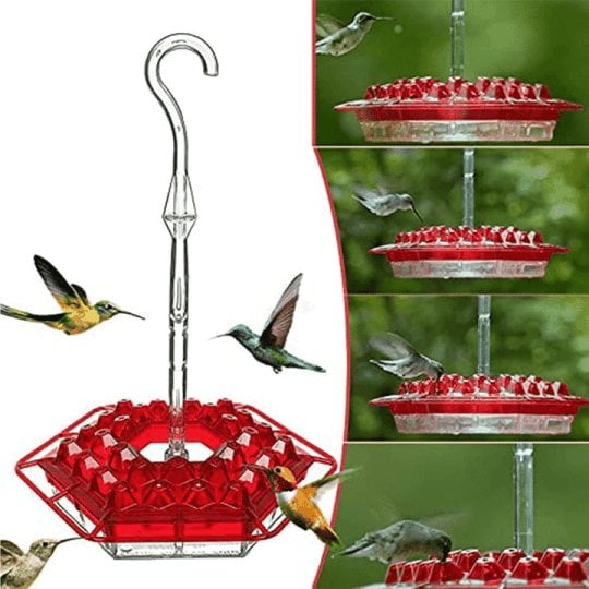 💥Lowest Price💥Mary's Sweety Hummingbird Feeder With Perch And Built-in Ant Moat