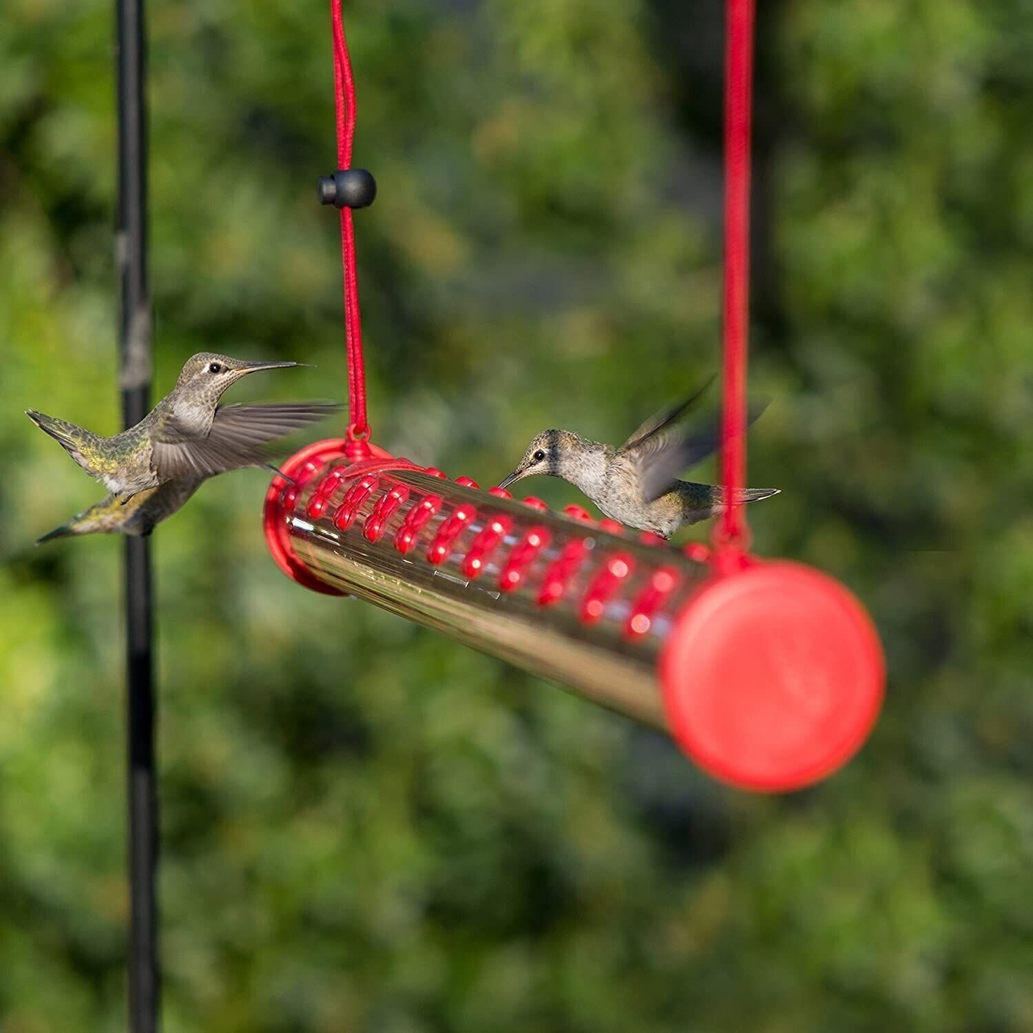 🔥Bob's Best Hummingbird Feeder-Buy 2 Free Shipping