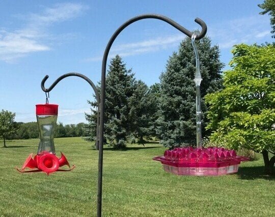 💥Lowest Price💥Mary's Sweety Hummingbird Feeder With Perch And Built-in Ant Moat